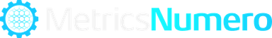 MetricsNumero Logo